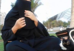 娱乐吃瓜君温婉,温婉背后的故事与真相