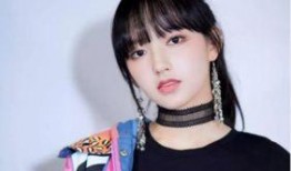 娱乐圈吃瓜程潇小说在线阅读,揭秘明星背后的故事