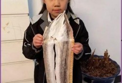 晚来天欲雪娱乐圈吃瓜