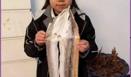 晚来天欲雪娱乐圈吃瓜