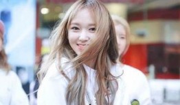 娱乐圈吃瓜程潇小说在线阅读,揭秘明星背后的故事