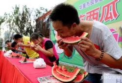 每日大赛吃瓜网,揭秘赛场背后的精彩瞬间