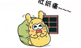 吃瓜群众的翻译,揭秘“吃瓜群众”背后的网络文化现象